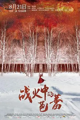 《战火中的芭蕾》：乱世儿女的命运悲歌，一段穿越硝烟的深情守望